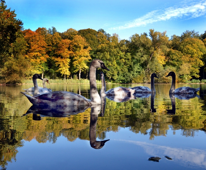 Padersee © Reinhard Rohlf